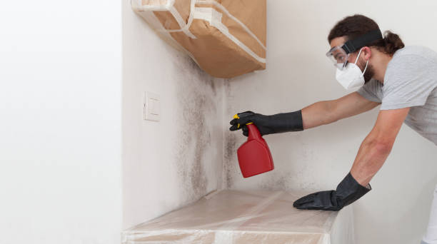 Professional Attic Mold Removal technician working in Chincoteague Island, VA