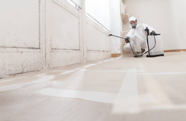 24/7 Emergency Attic Mold Removal experts in Chincoteague Island, VA